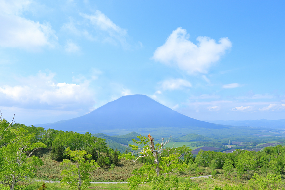 羊蹄山