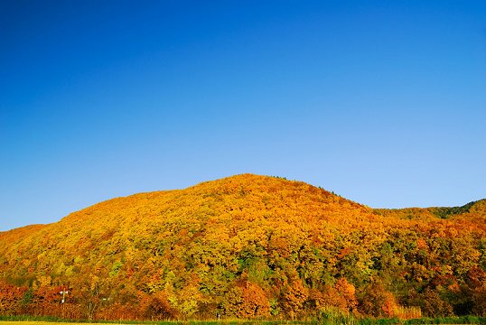 11月にレンタカーで北海道旅行 運転のポイントを押さえておこう ホンダレンタリース札幌