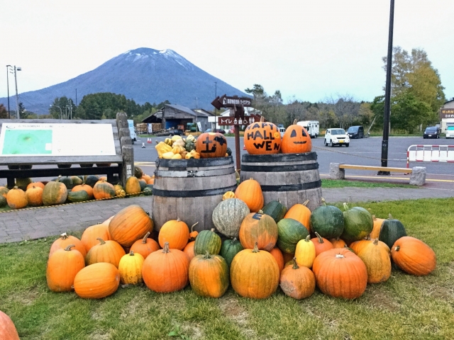 羊蹄山とハロウィンのカボチャ