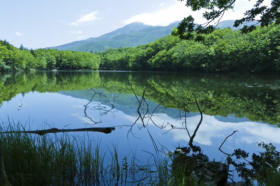 知床五湖