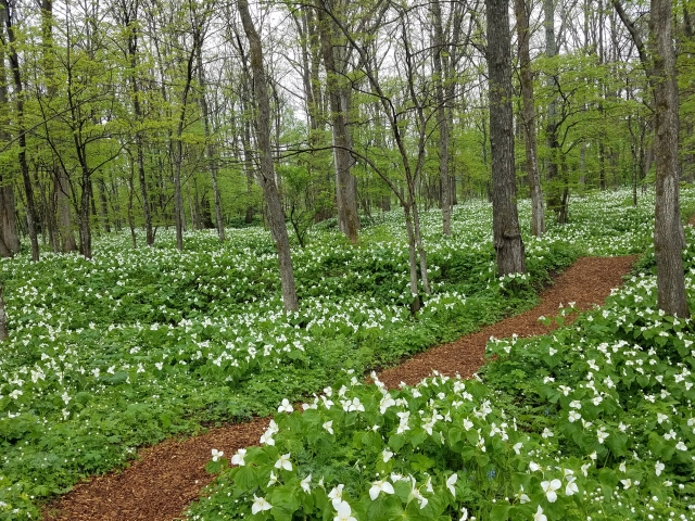 北海道中札内村の六花の森