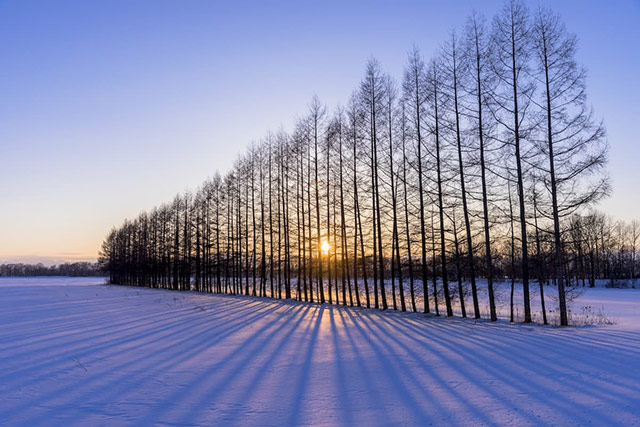 帯広の2月