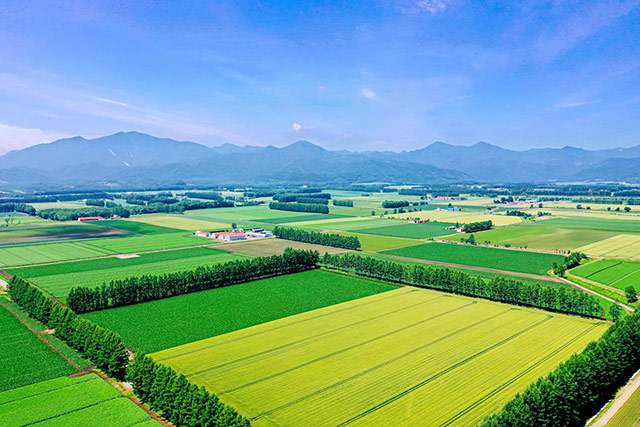 北海道