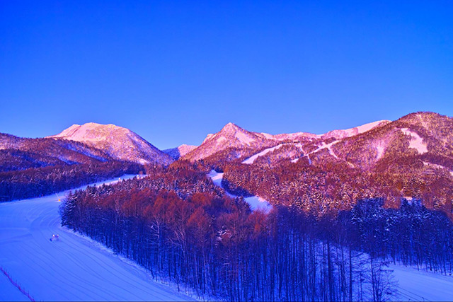 富良野スキー場