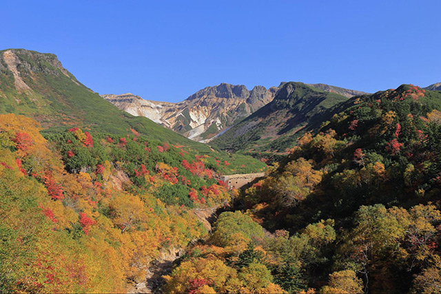 富良野の山々
