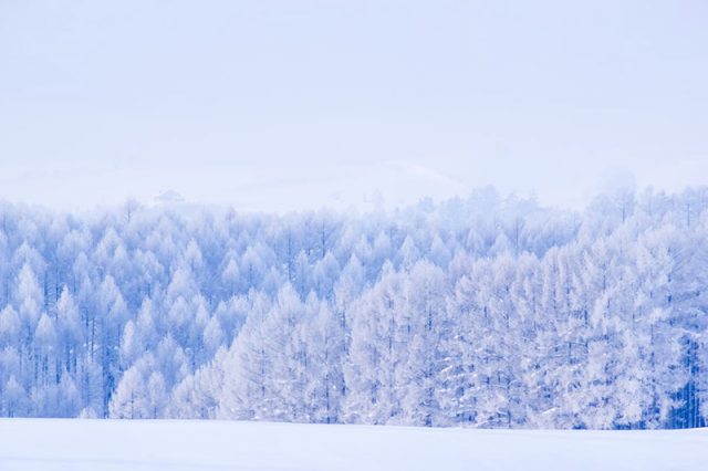 北海道