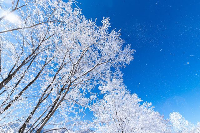 雪