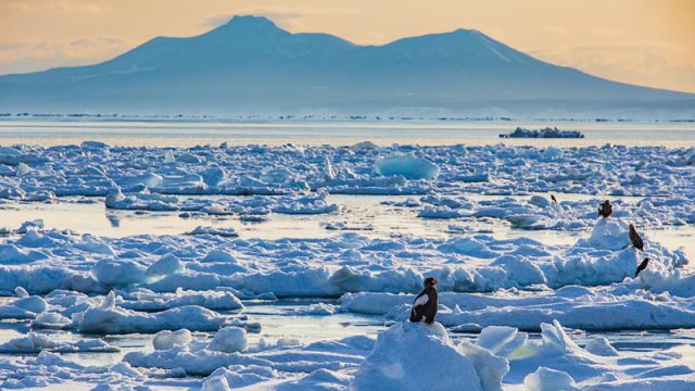 流氷