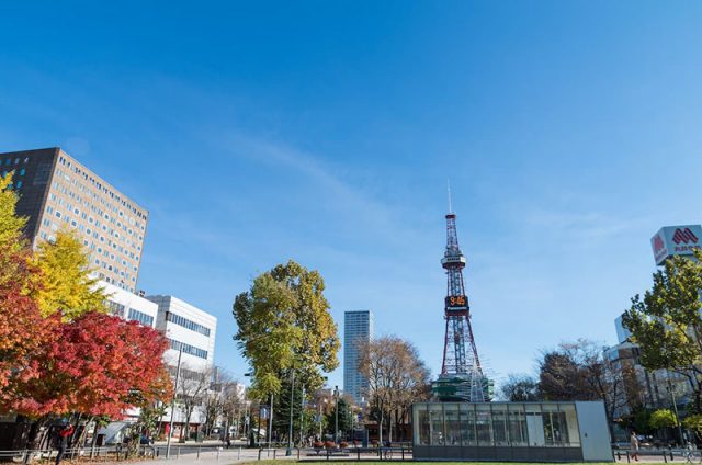大通公園