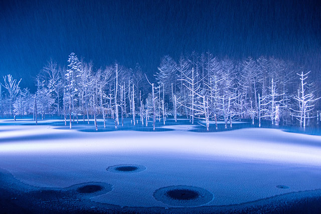 青い池ライトアップ