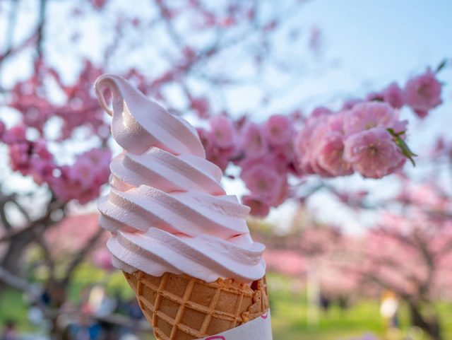 ソフトクリーム