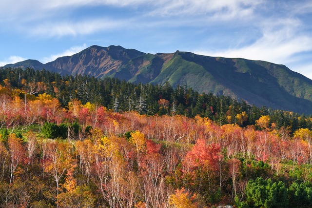 富良野